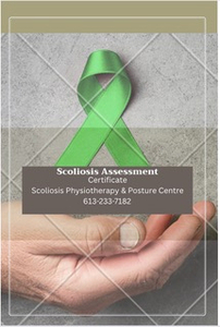 Scoliosis/posture assessment