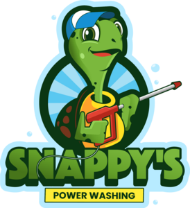 Professional Exterior House Wash