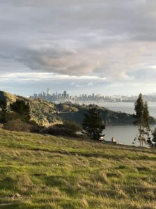 Tiburon, CA Condo