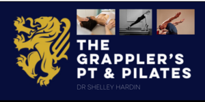 Physical Therapy Session+Pilates Reformer Session
