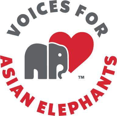 Voices for Asian Elephants