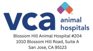 VCA Blossom Hill Animal Hospital
