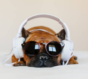 Choose the School Bell Music for ONE WEEK!