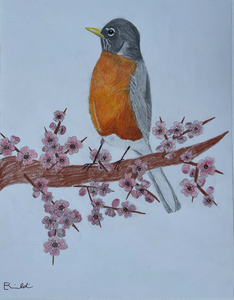 “Robin” by Ella R