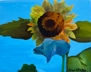 “Sunflower” by Ginger L