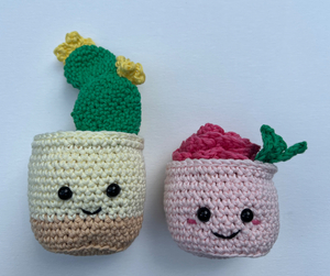 “Crochet Rose and Cactus” by Olivia W