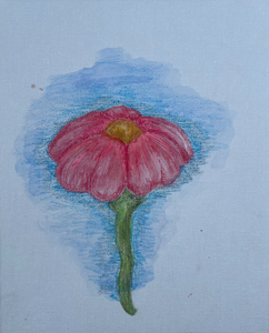 “Pink Flower with Blue Background” by Riley S