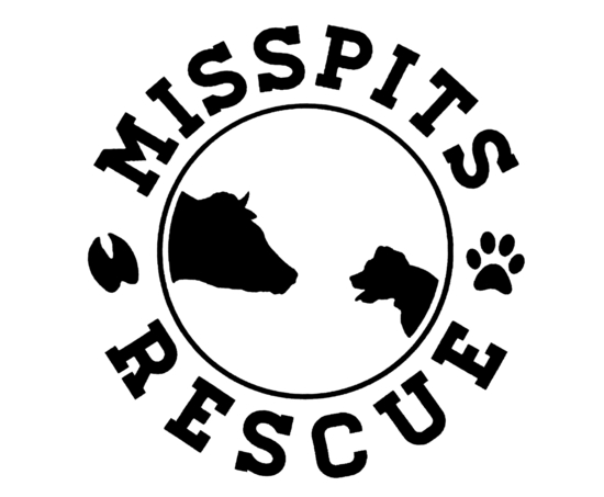 Misspits Rescue