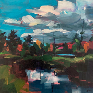 Swamp on Pogy Road No. 2