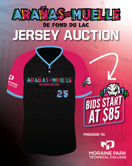 Fond du Lac Dock Spiders