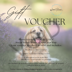 Photo Session with Your Dog's Photographer
