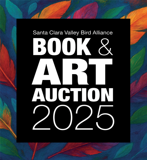 Santa Clara Valley Bird Alliance