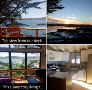 Birdwatchers Paradise in Bodega Bay — 4 Night Stay
