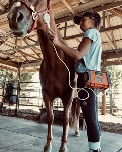 136. HERO Nano Pro PEMF Bundle