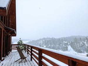 Cabin Stay in Red River, New Mexico for Four