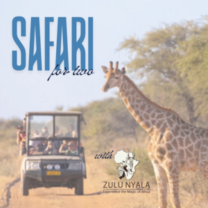 7-Day Safari for Two with Zulu Nyala