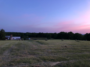Sunset Picnic