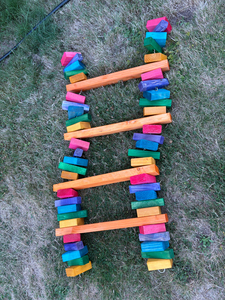 Giant Ladder for Giant Chewers