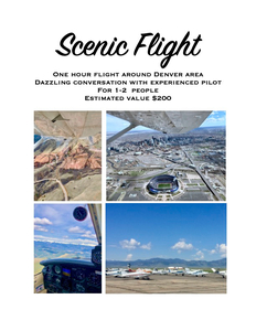 Scenic Flight
