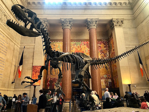 A Day at American Museum of Natural History
