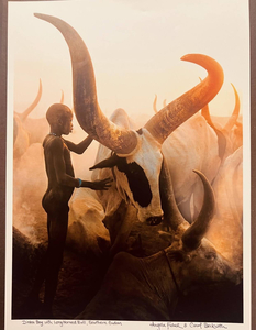 Dinka: Legendary Cattle Keepers Of Sudan print