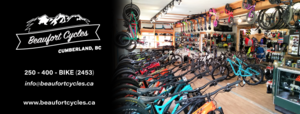 Tune up for1 Adult or 2 Kids Bike-Beaufort Cycles