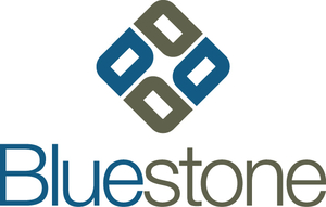 Bluestone Environmental Group, Inc.