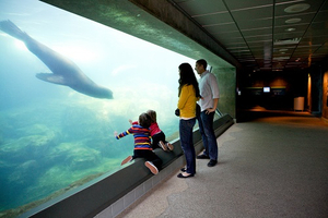 Four Tickets to the Aquarium of the Pacific