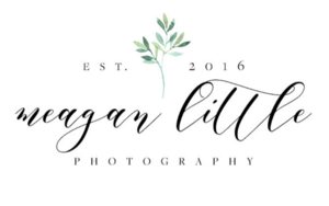 Photo Session from Meagan Little Photography
