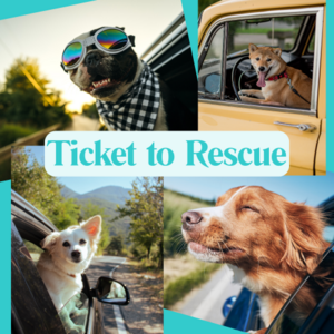 Provide a Dog a Ticket to Rescue