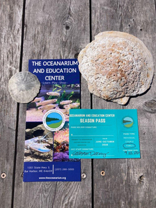 2026 Season Pass to the Oceanarium for a family