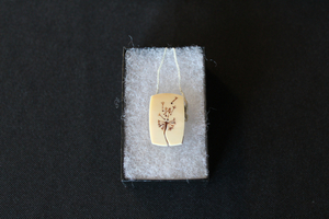 The Fashionista Package