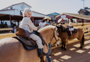 Admission for 4 to River Street Ranch