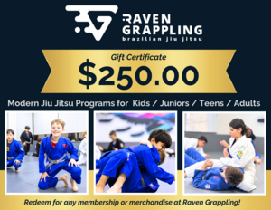 Brazilian Jiu Jitsu at Raven Grappling #3