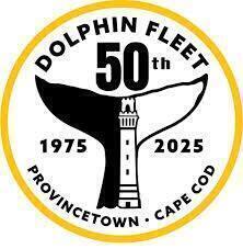 The Dolphin Fleet