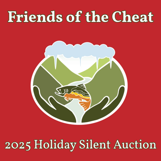 Friends of the Cheat
