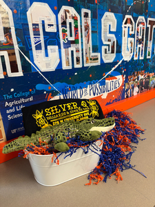 Silver Q Billiards & Sports Bar