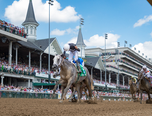 158. Halter Worn by Seize the Grey