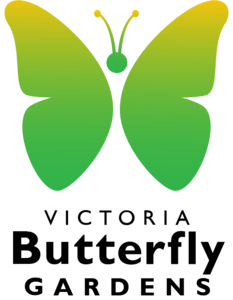 Victoria Butterfly Gardens