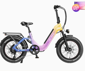 168 - Ranger 3.0 Pro - Limited Miami Sunset