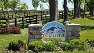 206. Denali Stud 2-Night Stay, Private Tour