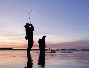 195. Fly Fishing in Colorado