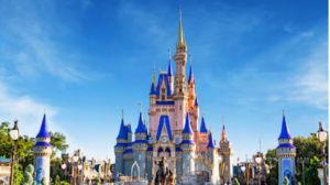 Florida Villa for 7 Day -15 Min from Walt Disney