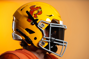 Game Worn Slobbering Bear Helmet