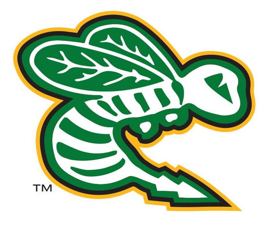 Edina Hockey Association