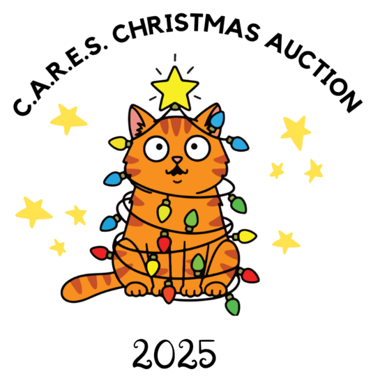 C.A.R.E.S.