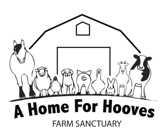 A Home for Hooves Farm Animal Sanctuary