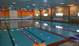 Flying Fish Swim School