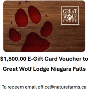 Great Wolf Lodge Gift Certificate - Lot #711