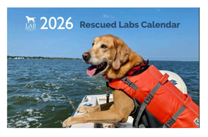 2026 Lab Rescue Calendar